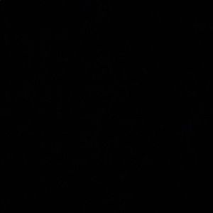 Meet your Posher, Isabella